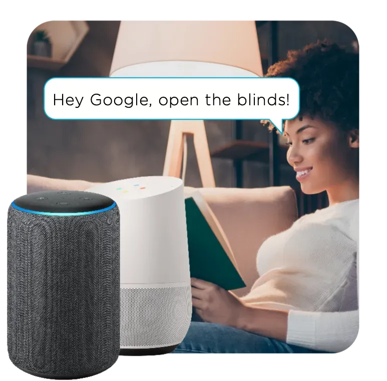 integration with voice assistants